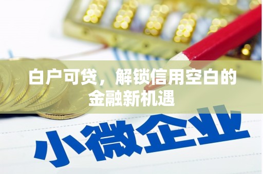 凤泉白户可贷，解锁信用空白的金融新机遇