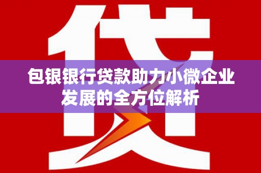 凤泉包银银行贷款助力小微企业发展的全方位解析