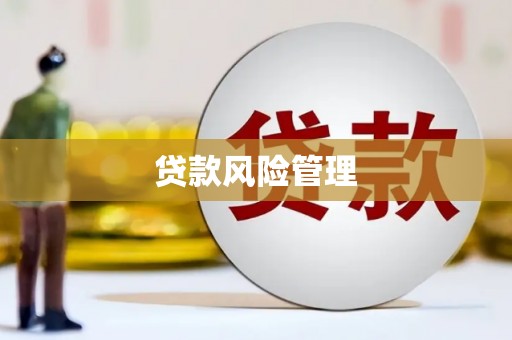 凤泉贷款风险管理