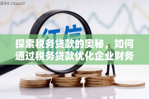 凤泉探索税务贷款的奥秘，如何通过税务贷款优化企业财务