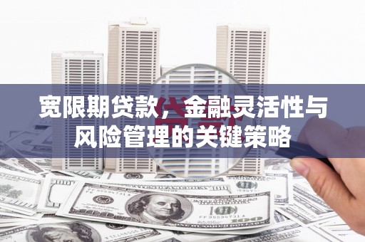 凤泉宽限期贷款，金融灵活性与风险管理的关键策略