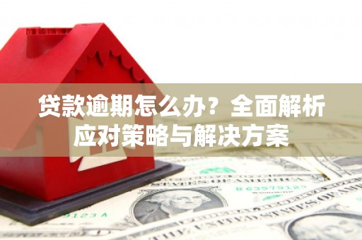 凤泉贷款逾期怎么办？全面解析应对策略与解决方案