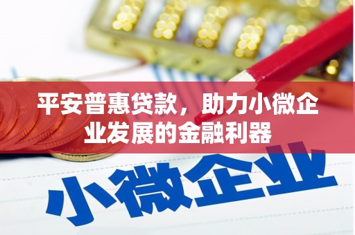 凤泉平安普惠贷款，助力小微企业发展的金融利器