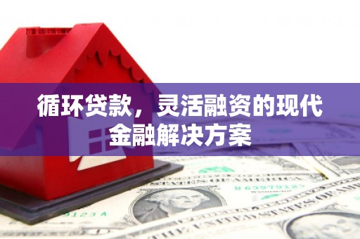 凤泉循环贷款，灵活融资的现代金融解决方案