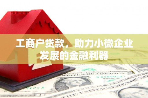 凤泉工商户贷款，助力小微企业发展的金融利器