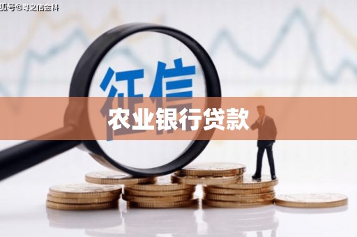 凤泉农业银行贷款