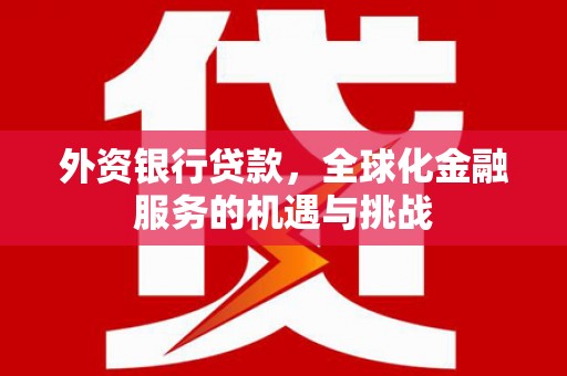 凤泉外资银行贷款，全球化金融服务的机遇与挑战