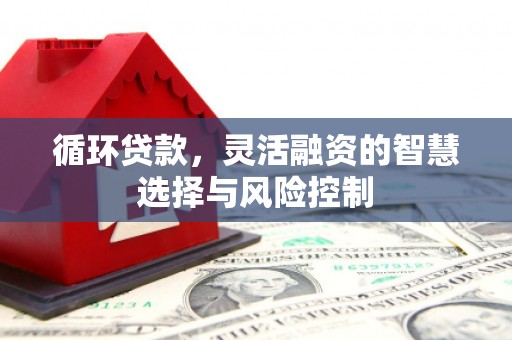 凤泉循环贷款，灵活融资的智慧选择与风险控制