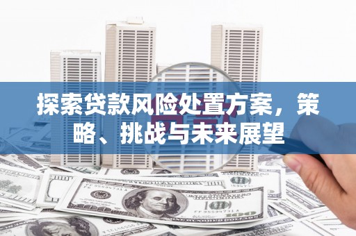 凤泉探索贷款风险处置方案，策略、挑战与未来展望