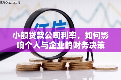 凤泉小额贷款公司利率，如何影响个人与企业的财务决策