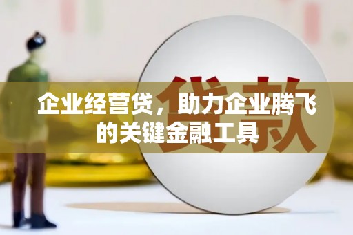 凤泉企业经营贷，助力企业腾飞的关键金融工具