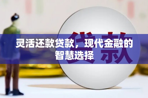 凤泉灵活还款贷款，现代金融的智慧选择