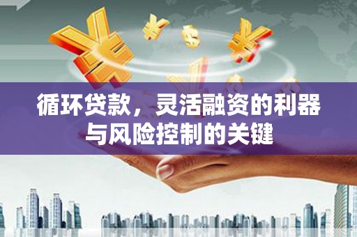 凤泉循环贷款，灵活融资的利器与风险控制的关键