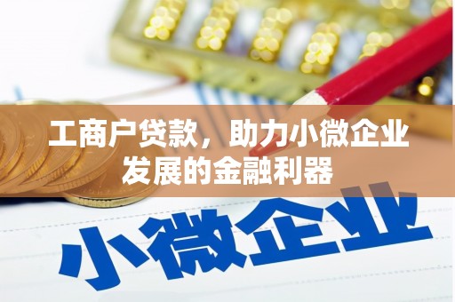 凤泉工商户贷款，助力小微企业发展的金融利器
