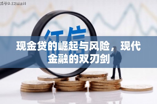 凤泉现金贷的崛起与风险，现代金融的双刃剑