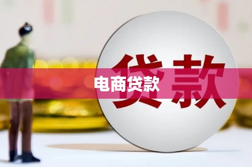 凤泉电商贷款