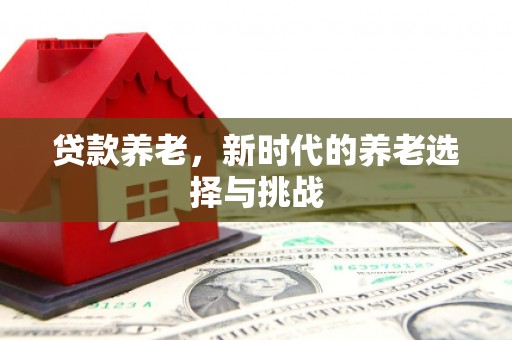 凤泉贷款养老，新时代的养老选择与挑战
