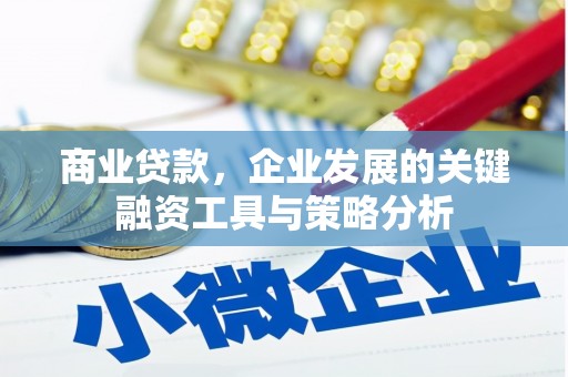 凤泉商业贷款，企业发展的关键融资工具与策略分析