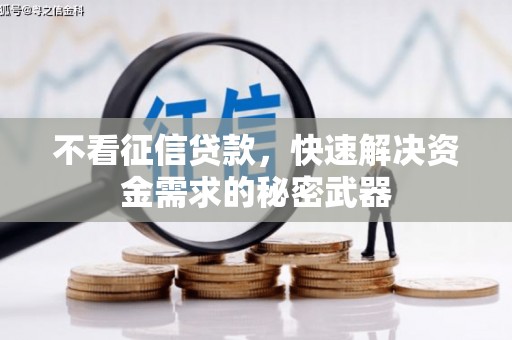凤泉不看征信贷款，快速解决资金需求的秘密武器