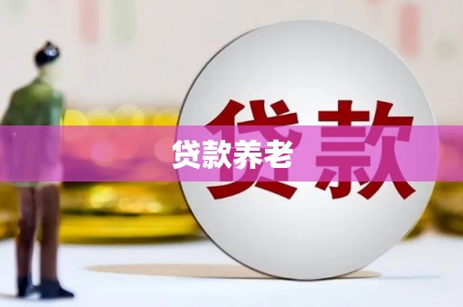 凤泉贷款养老