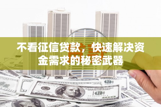 凤泉不看征信贷款，快速解决资金需求的秘密武器