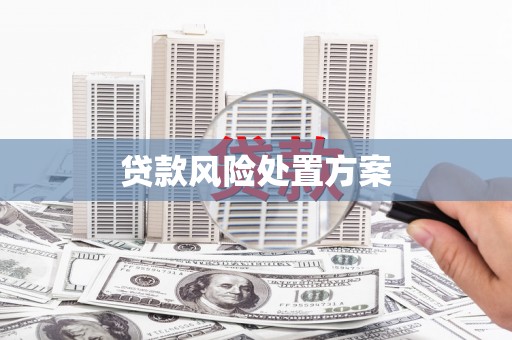 凤泉贷款风险处置方案