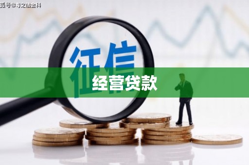 凤泉经营贷款