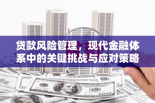 凤泉贷款风险管理，现代金融体系中的关键挑战与应对策略