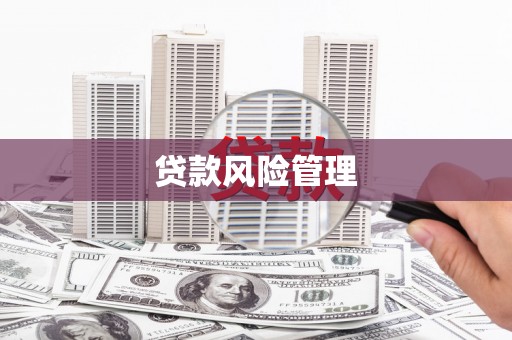 凤泉贷款风险管理