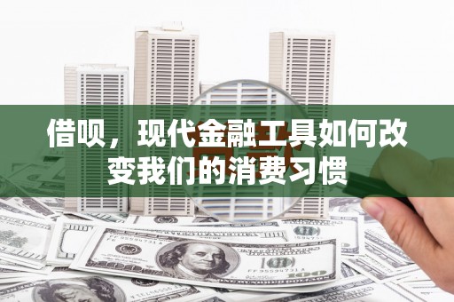 凤泉借呗，现代金融工具如何改变我们的消费习惯