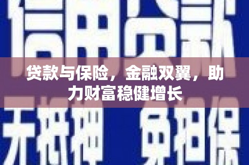 凤泉贷款与保险，金融双翼，助力财富稳健增长