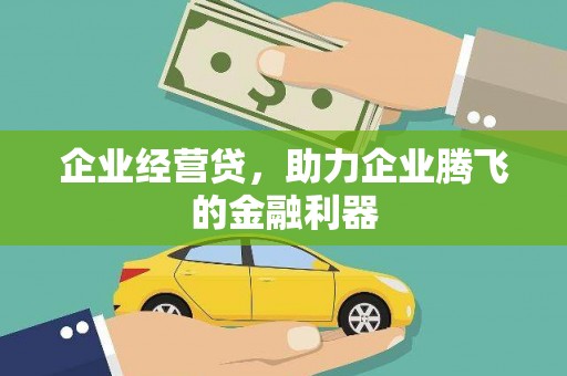 凤泉企业经营贷，助力企业腾飞的金融利器
