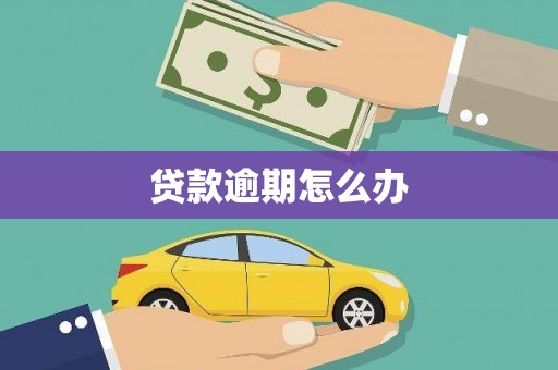 凤泉贷款逾期怎么办