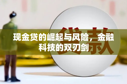 凤泉现金贷的崛起与风险，金融科技的双刃剑