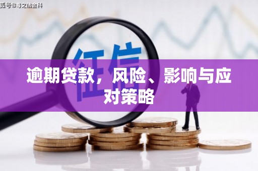 凤泉逾期贷款，风险、影响与应对策略