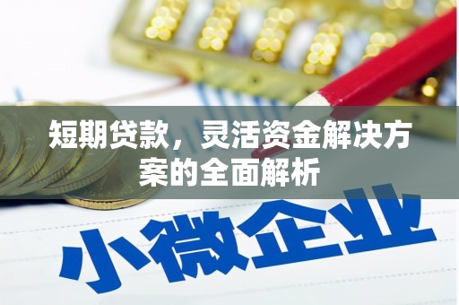 凤泉短期贷款，灵活资金解决方案的全面解析