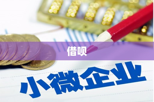 凤泉借呗