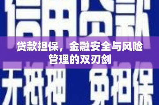 凤泉贷款担保，金融安全与风险管理的双刃剑