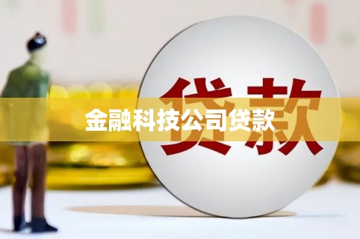 凤泉金融科技公司贷款