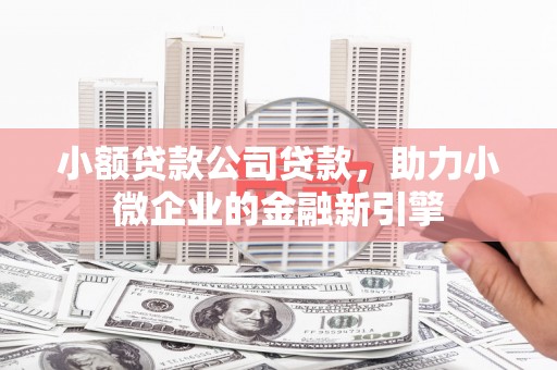 凤泉小额贷款公司贷款，助力小微企业的金融新引擎