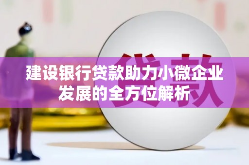 凤泉建设银行贷款助力小微企业发展的全方位解析