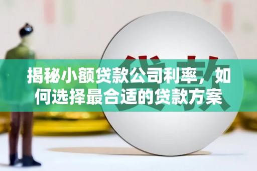 凤泉揭秘小额贷款公司利率，如何选择最合适的贷款方案