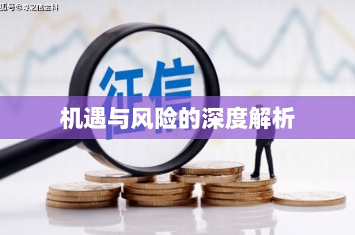 凤泉机遇与风险的深度解析