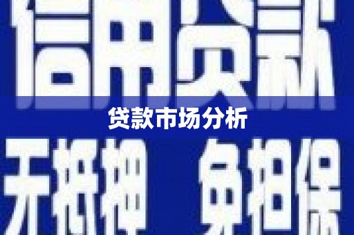 凤泉贷款市场分析