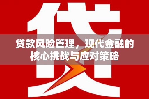 凤泉贷款风险管理，现代金融的核心挑战与应对策略