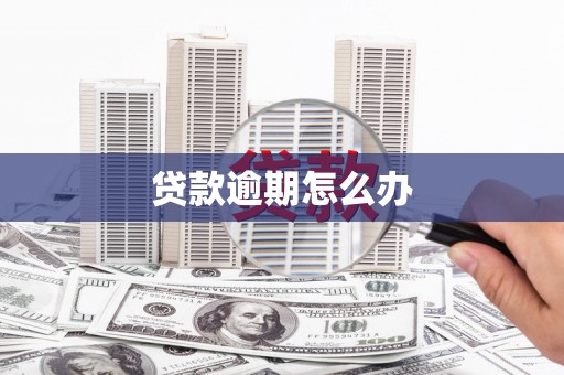 凤泉贷款逾期怎么办