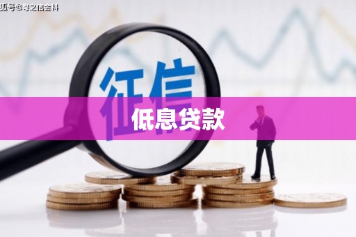 凤泉低息贷款