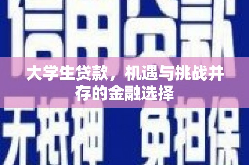 凤泉大学生贷款，机遇与挑战并存的金融选择