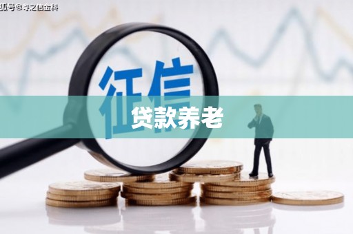 凤泉贷款养老
