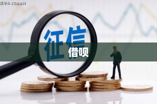 凤泉借呗